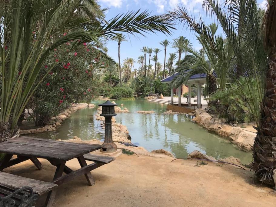 Carpediem Apart Terraza-Atico Alicante Center מראה חיצוני תמונה