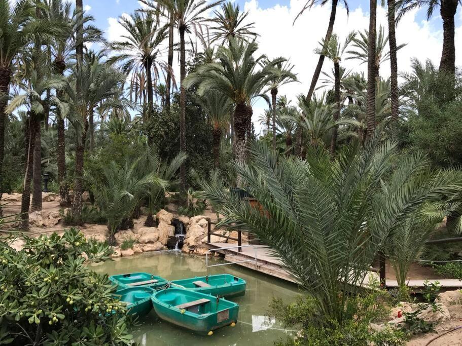 Carpediem Apart Terraza-Atico Alicante Center מראה חיצוני תמונה